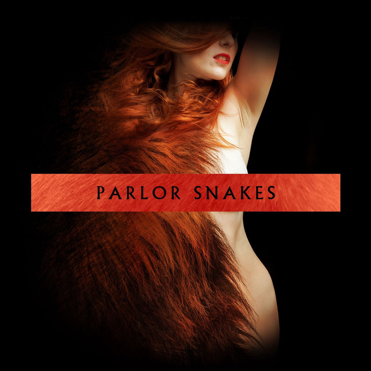 Parlor Snakes – Parlor Snakes vinyl record cover