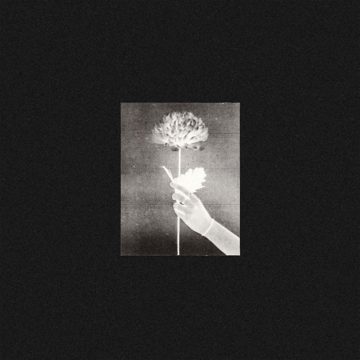 White Flowers – Day By Day vinyl cover