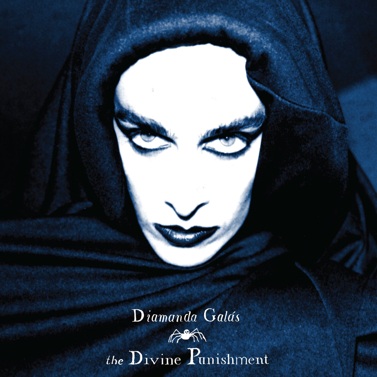 Diamanda Galas – The Divine Punishment vinyl record cover