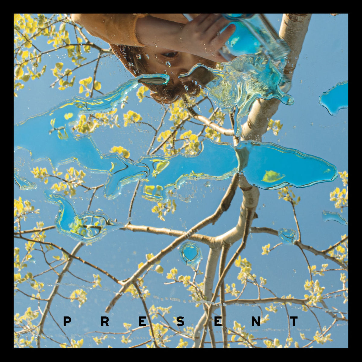 Dog Day – Present vinyl record cover