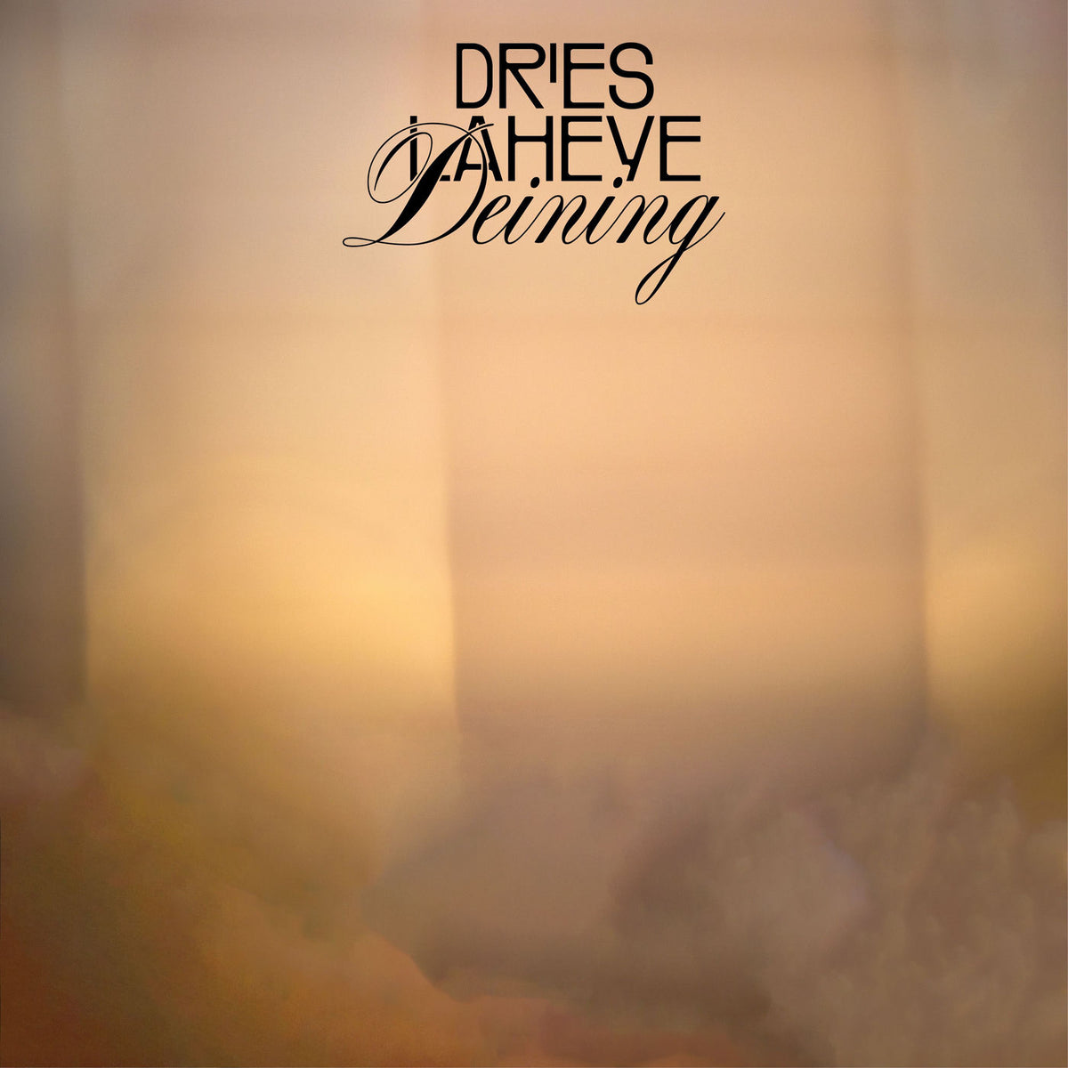 Dries Laheye – Deining [LP] vinyl record cover