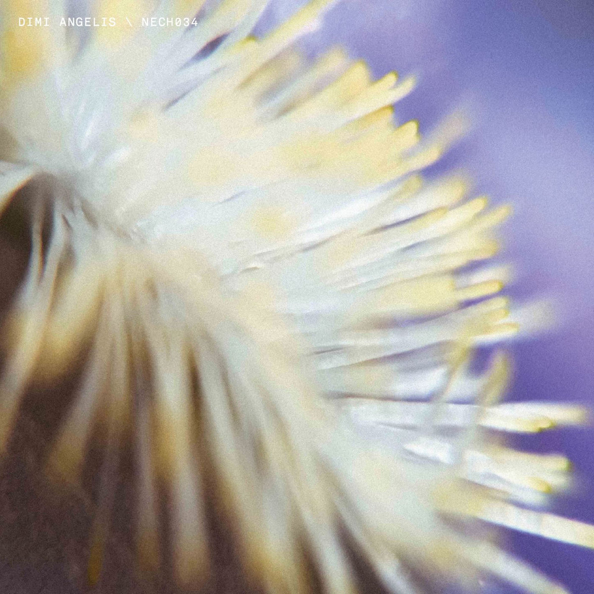 Dimi Angélis – NECH034 vinyl cover