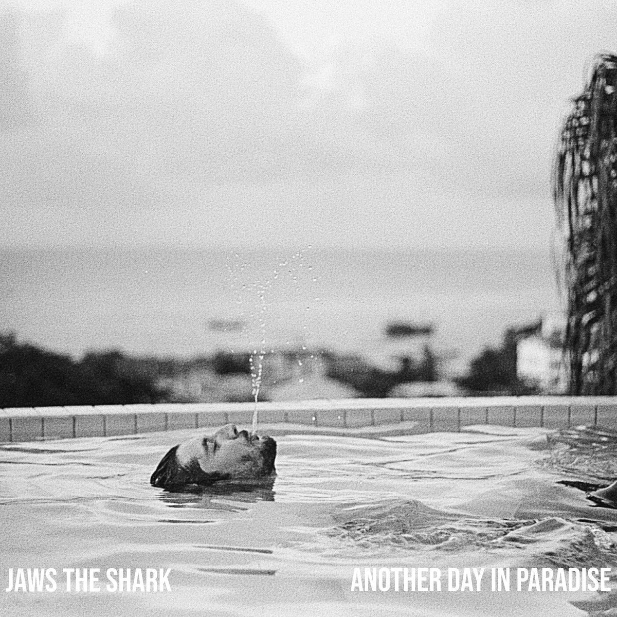 Jaws the Shark – Another Day in Paradise vinyl cover