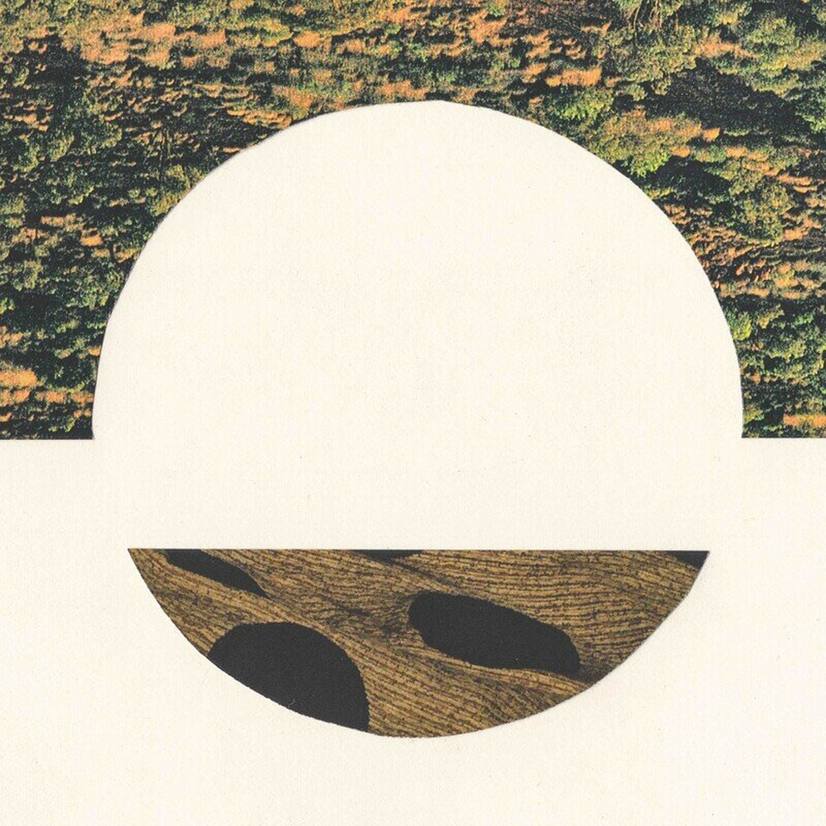 Robin Richards – Castel vinyl record cover