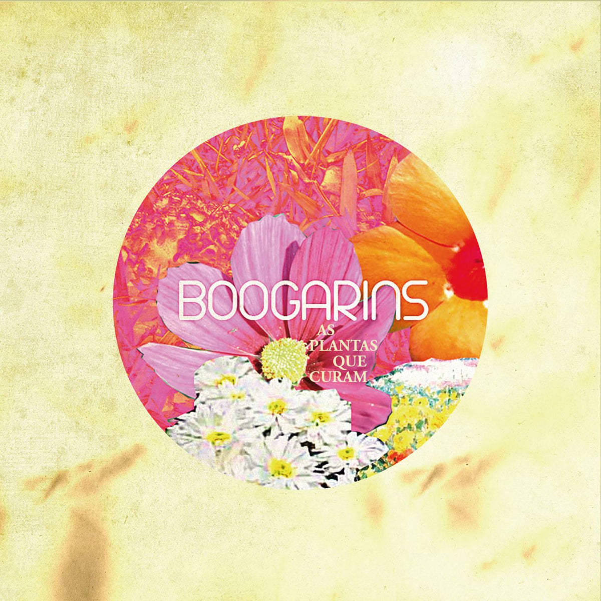 Boogarins – As Plantas Que Curam vinyl record cover