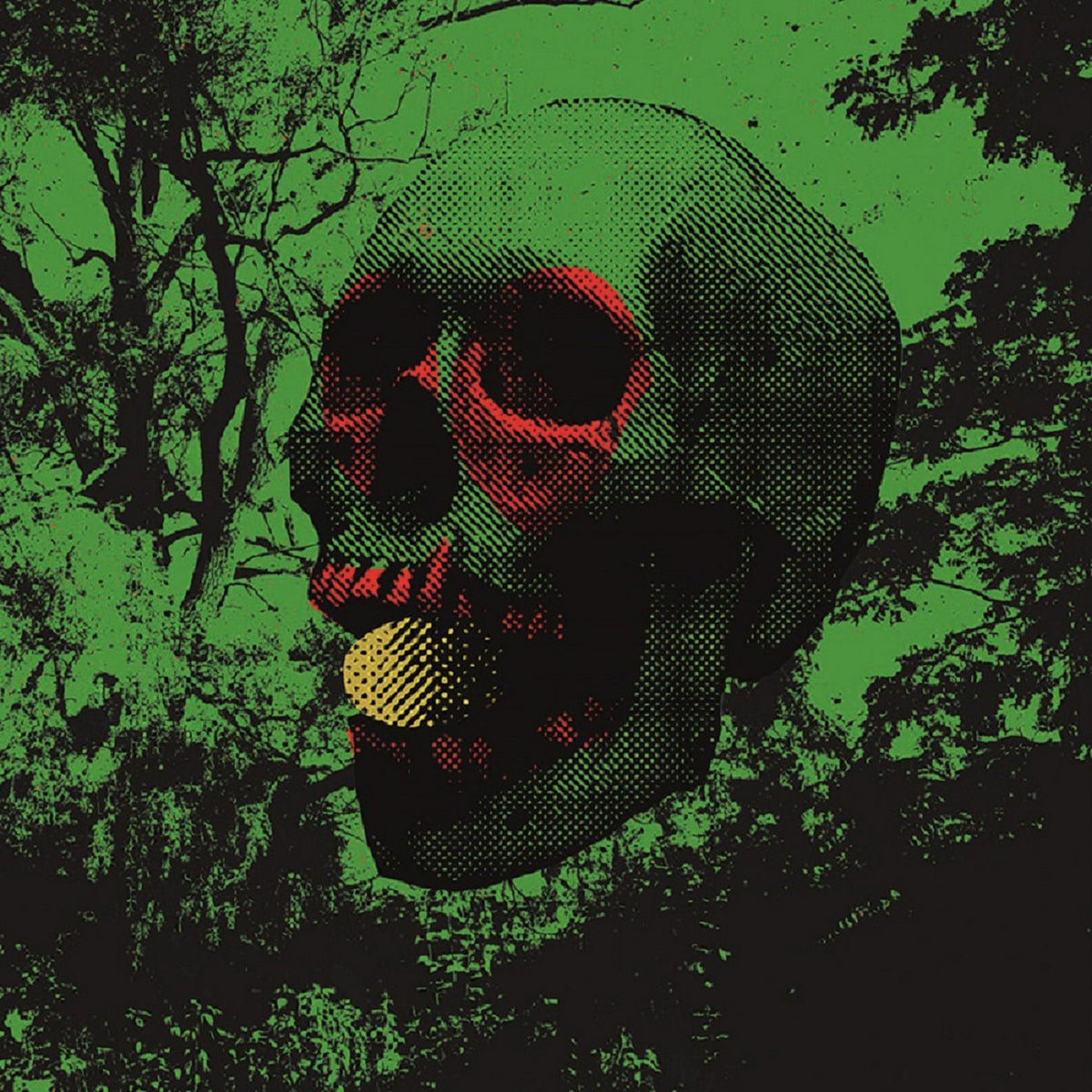 John Dwyer – Witch Egg vinyl cover
