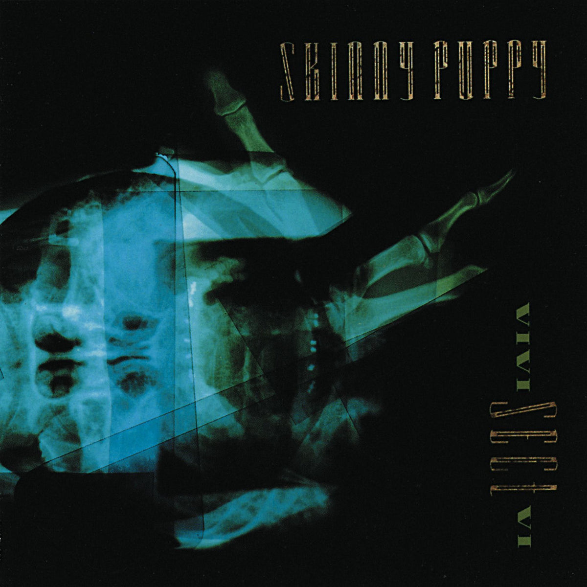 Skinny Puppy – Vivi Sect Vi — album cover
