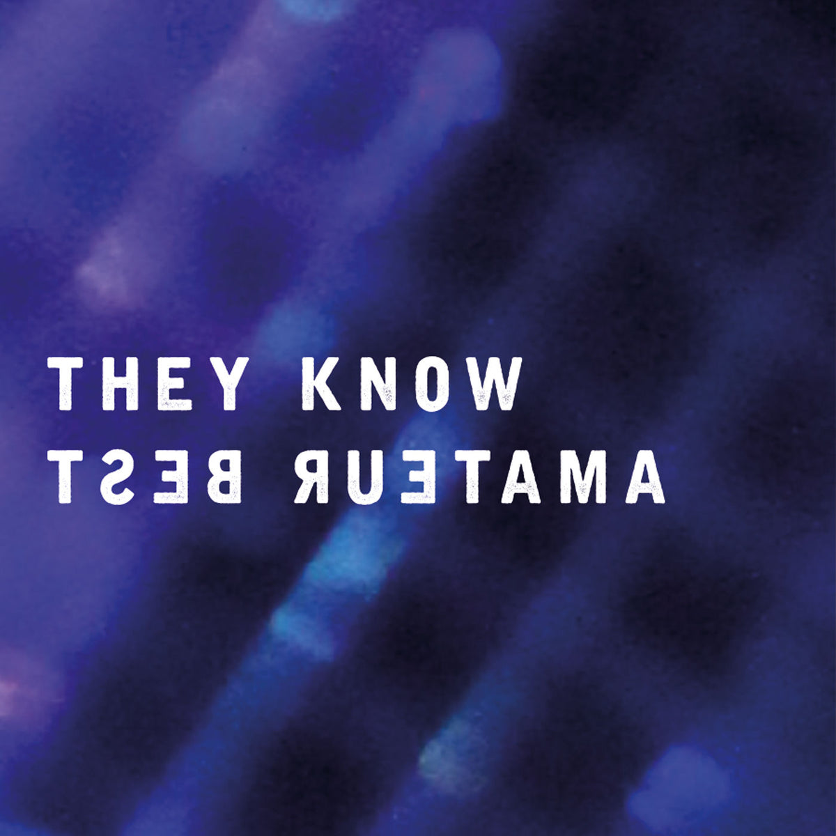 Amateur Best – They Know vinyl record cover