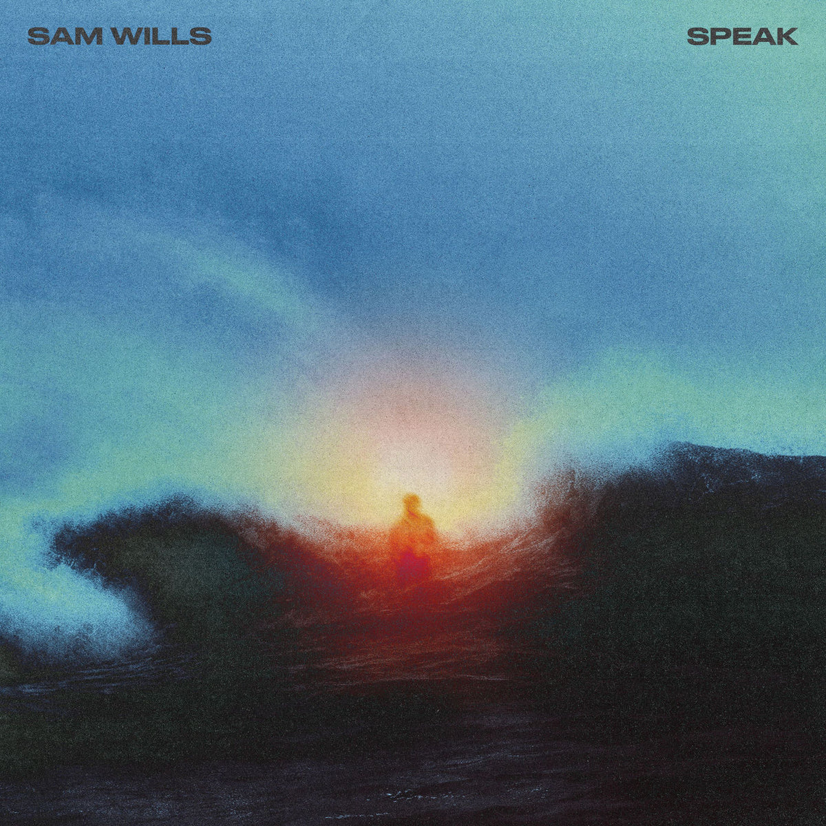 Sam Wills – Speak vinyl cover
