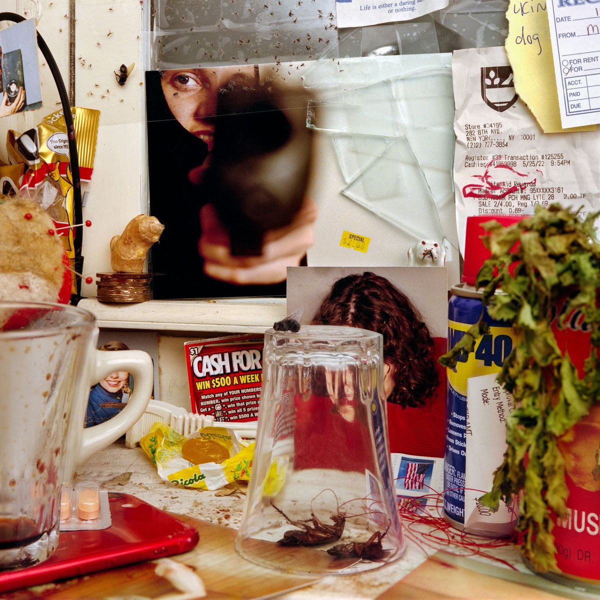 The Wants – Bastard vinyl cover