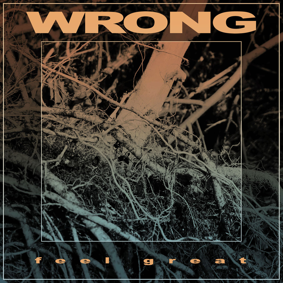 Wrong – Feel Great vinyl record cover