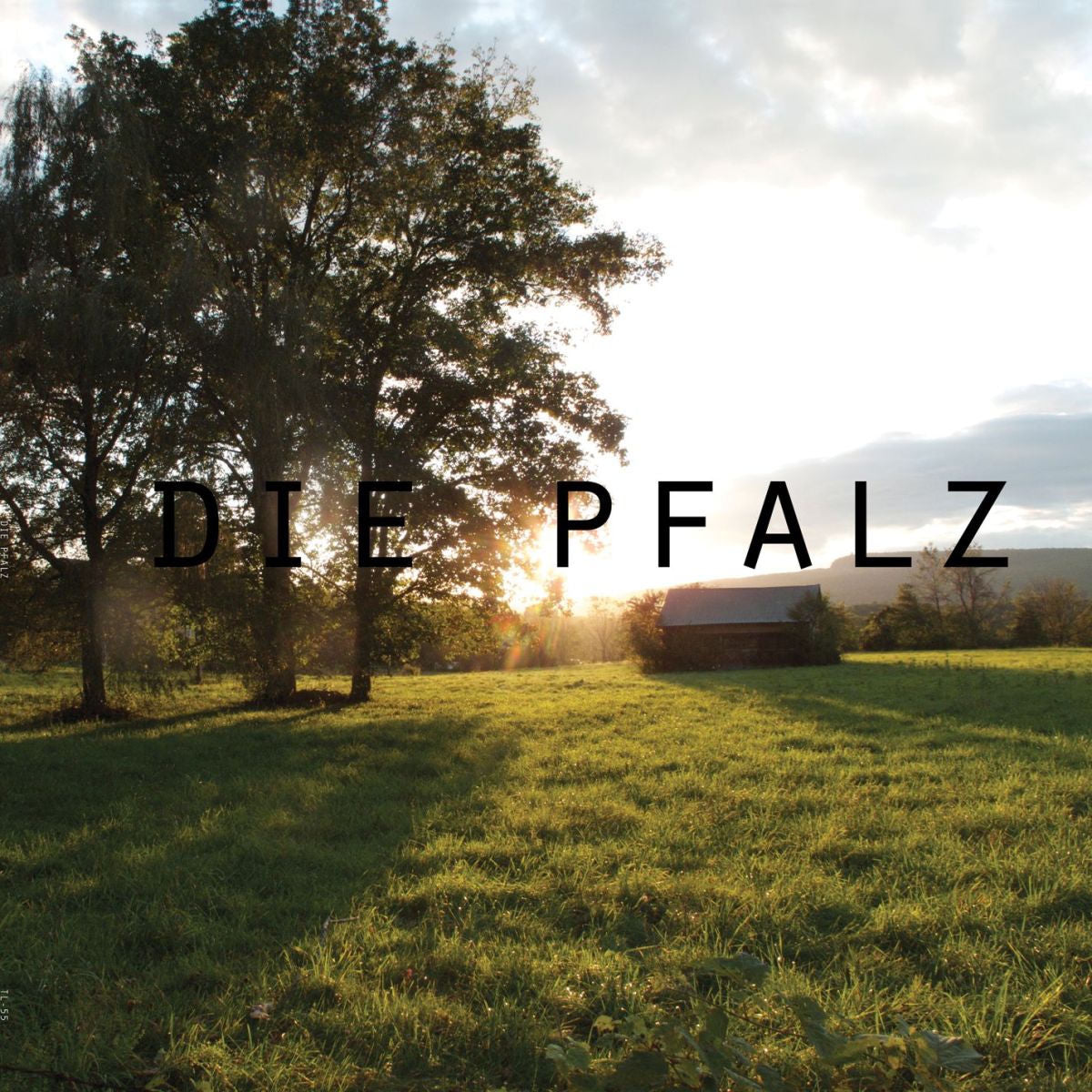 Various Artists – Die Pfalz vinyl record cover