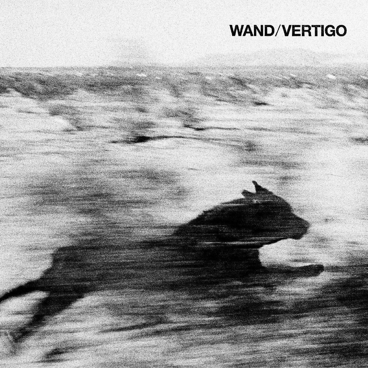 Wand – Vertigo vinyl record cover