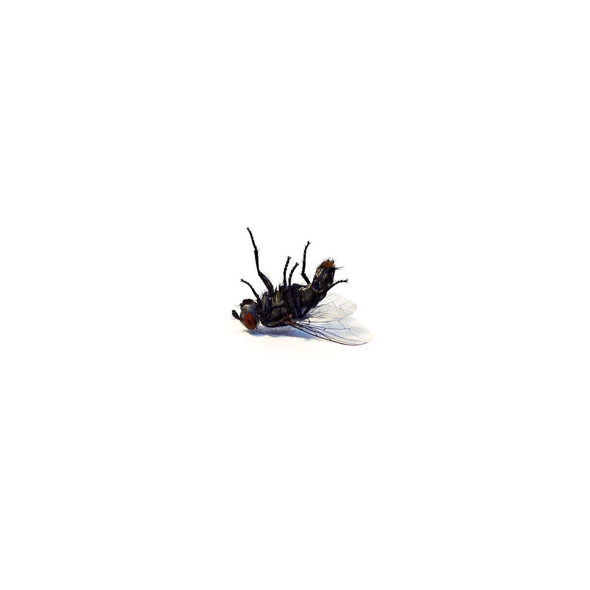 Grocer – Bless Me vinyl record cover