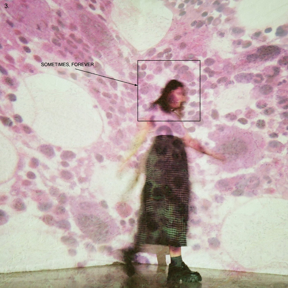 Soccer Mommy – Sometimes, Forever vinyl record cover