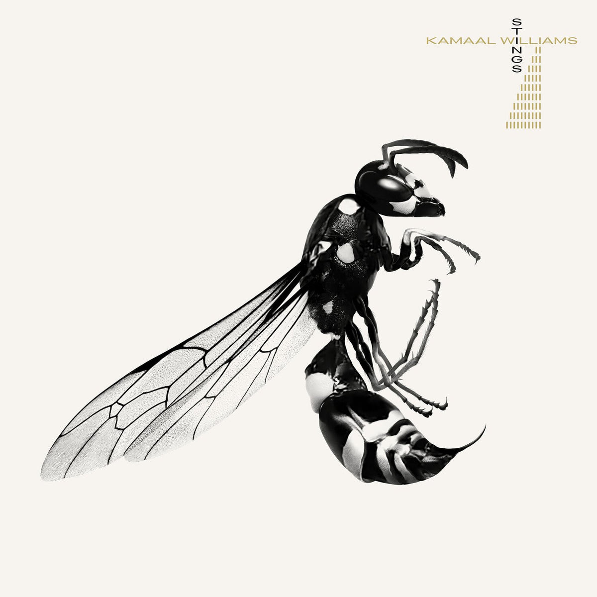 Kamaal Williams – Stings vinyl cover