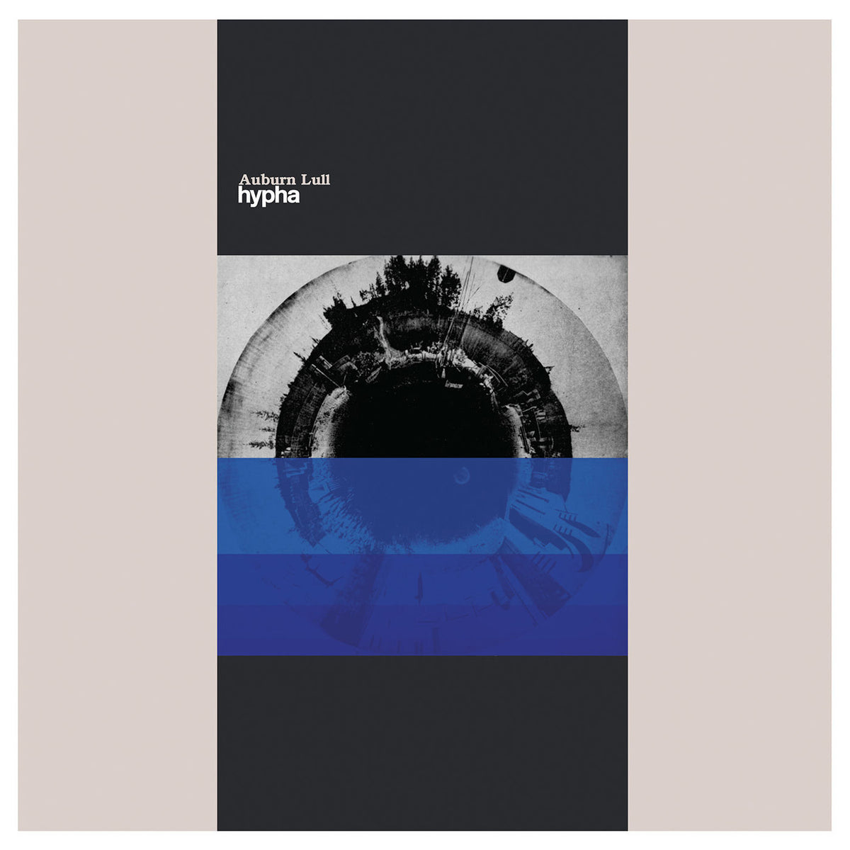 Auburn Lull – Hypha vinyl cover
