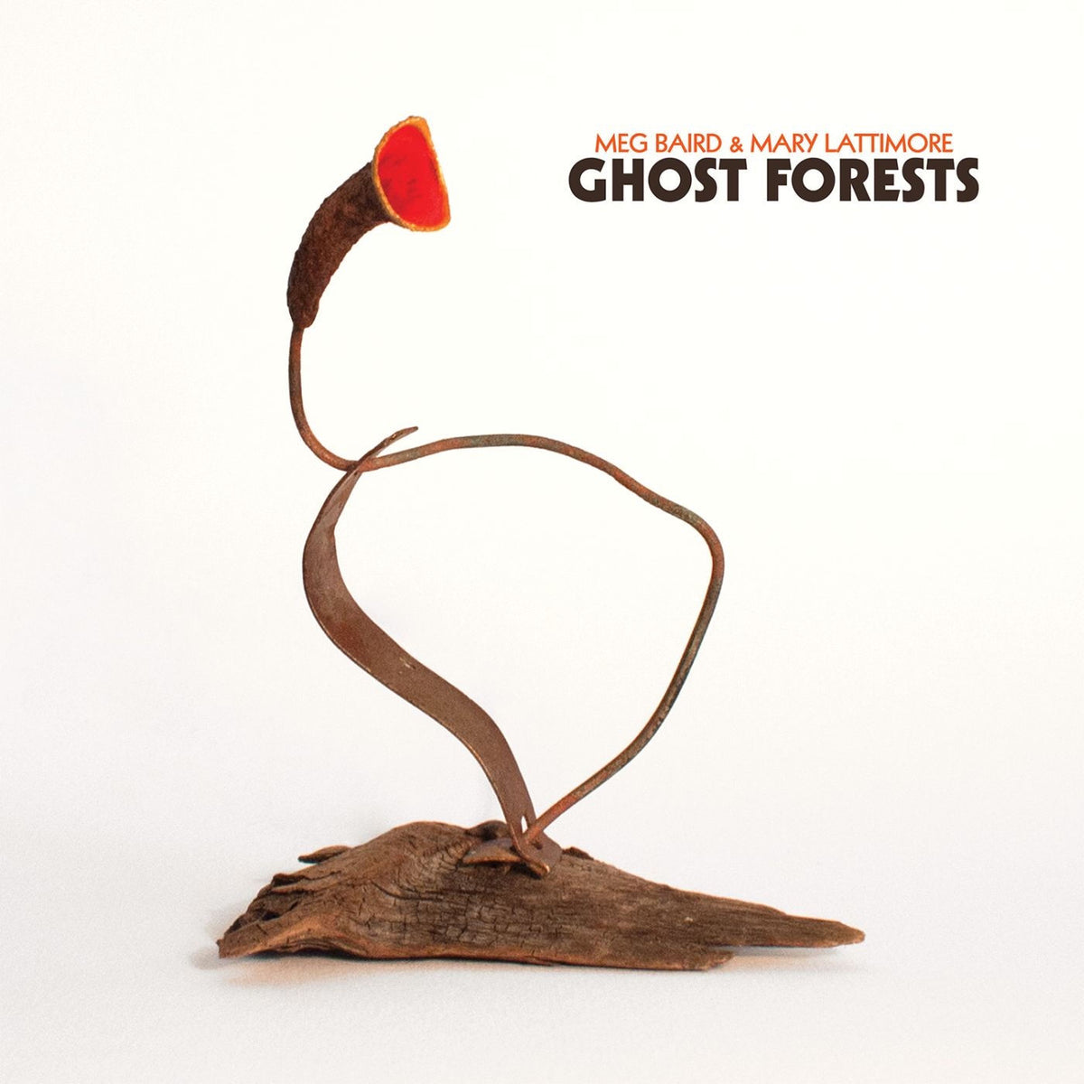 Meg Baird – Ghost Forests vinyl cover