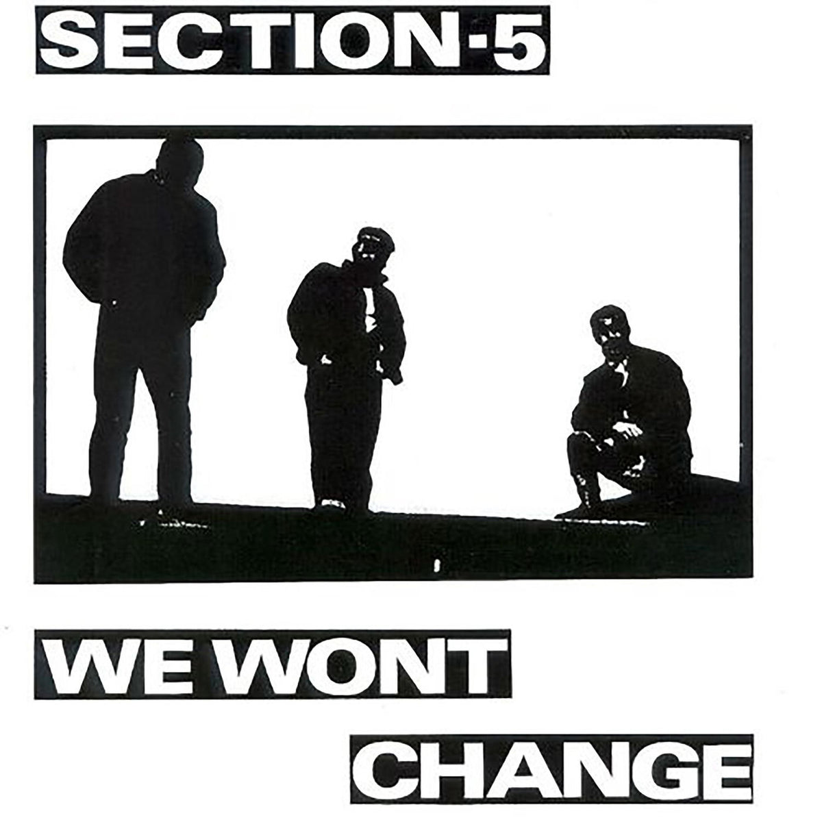 Section 5 – We Won't Change vinyl record cover