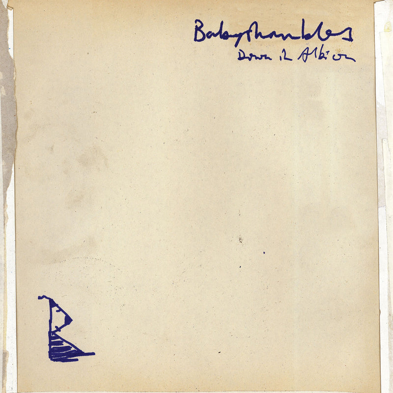 Babyshambles – Down in Albion vinyl record cover