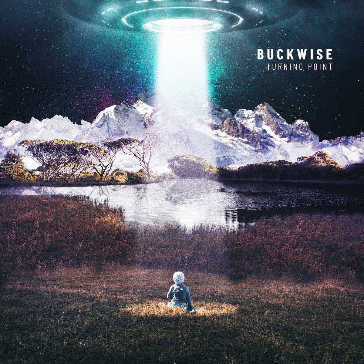 Buckwise – Turning Point vinyl record cover