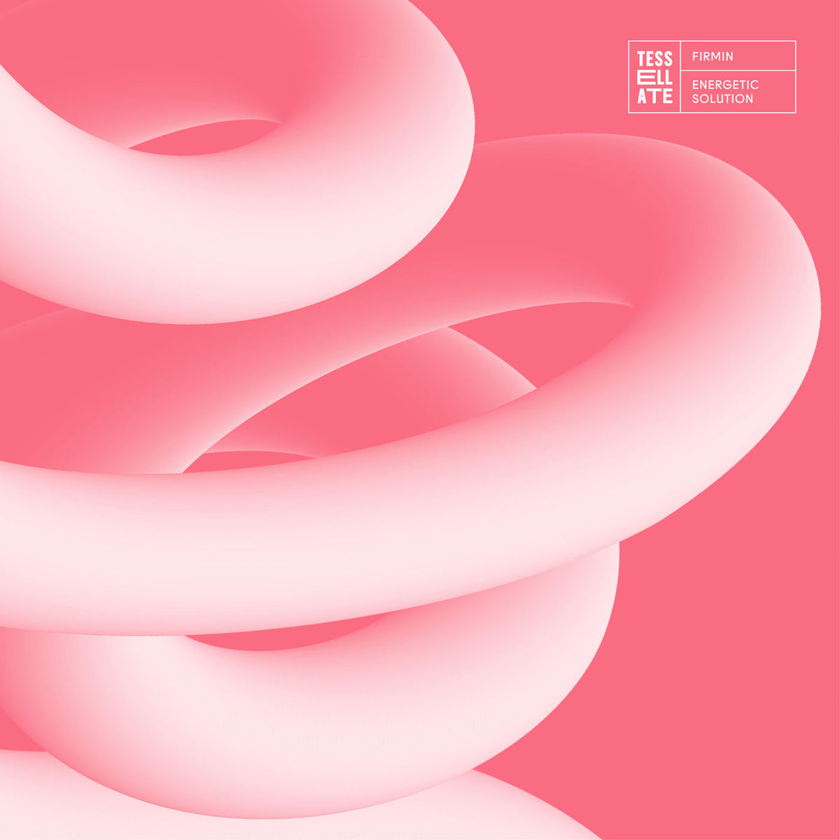 Firmin – Energetic Solution vinyl cover