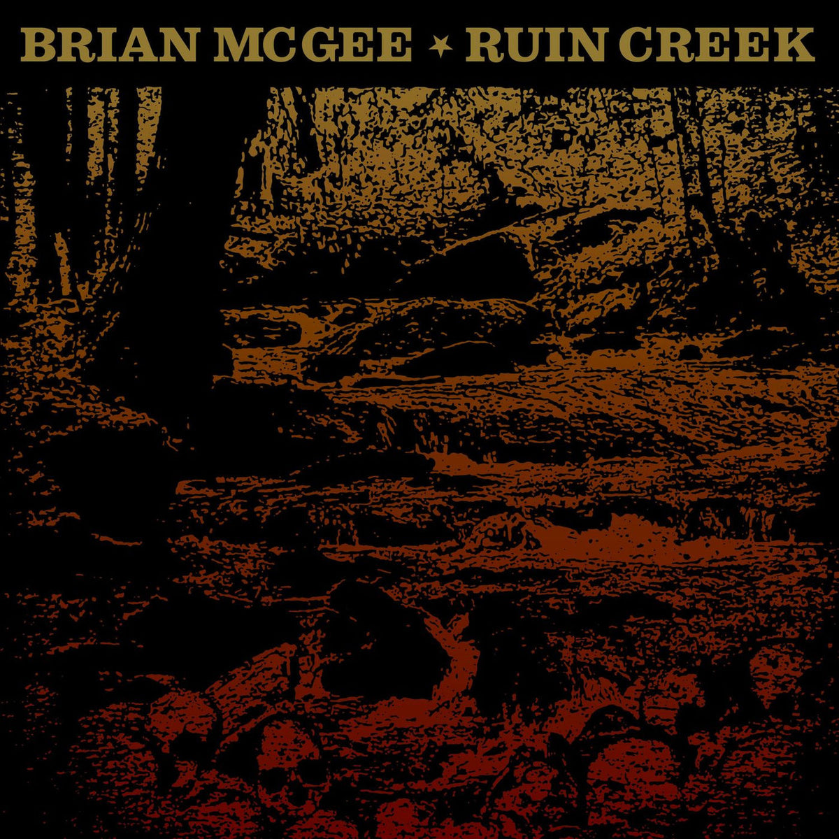 Brian McGee – Ruin Creek vinyl record cover