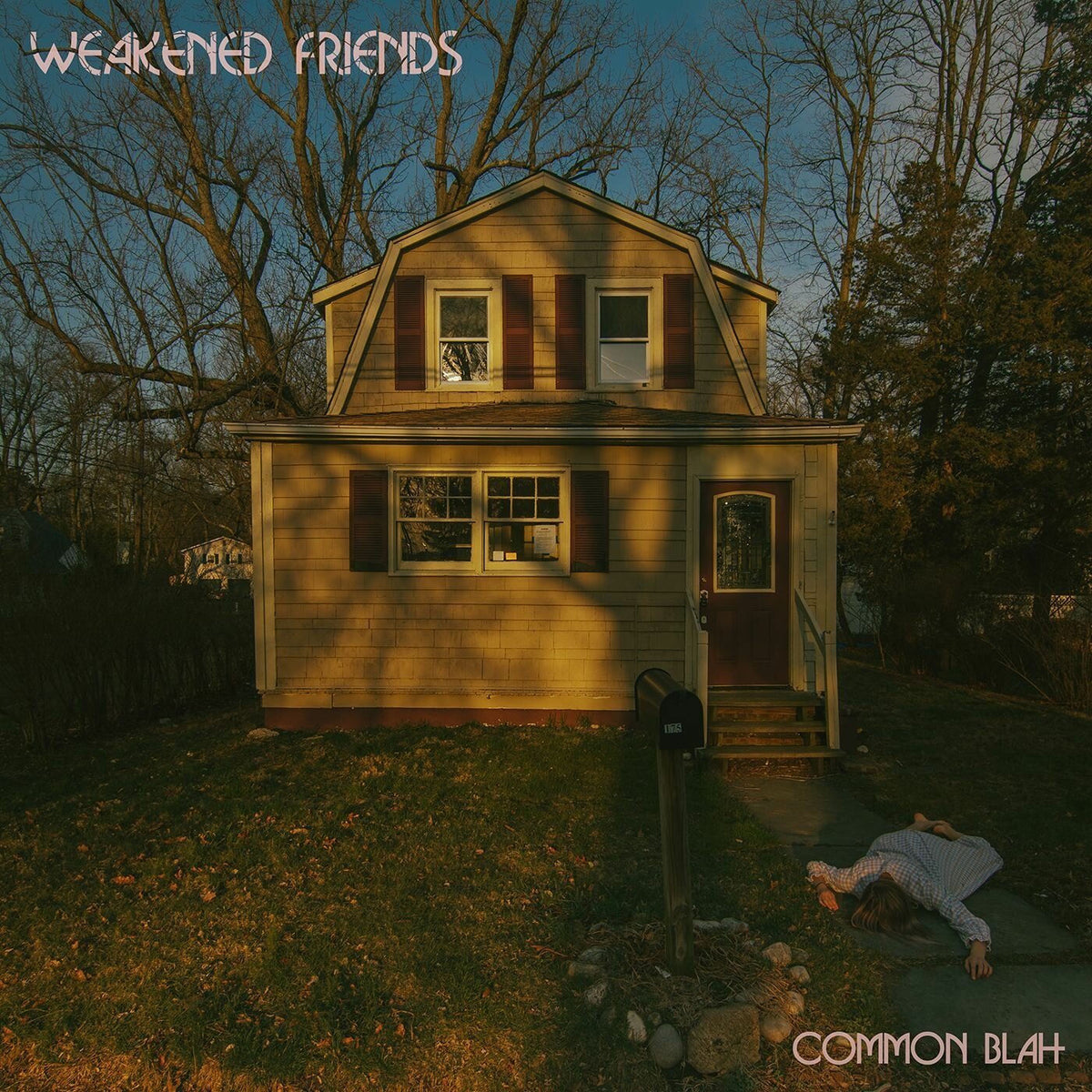 Weakened Friends – Common Blah vinyl cover