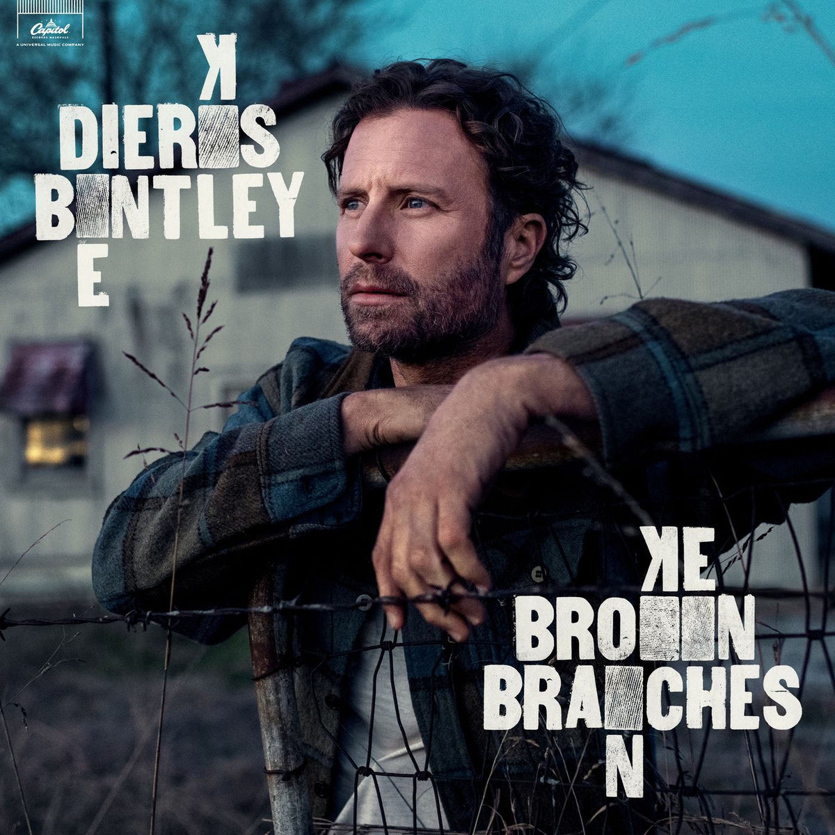 Dierks Bentley – Broken Branches vinyl record cover
