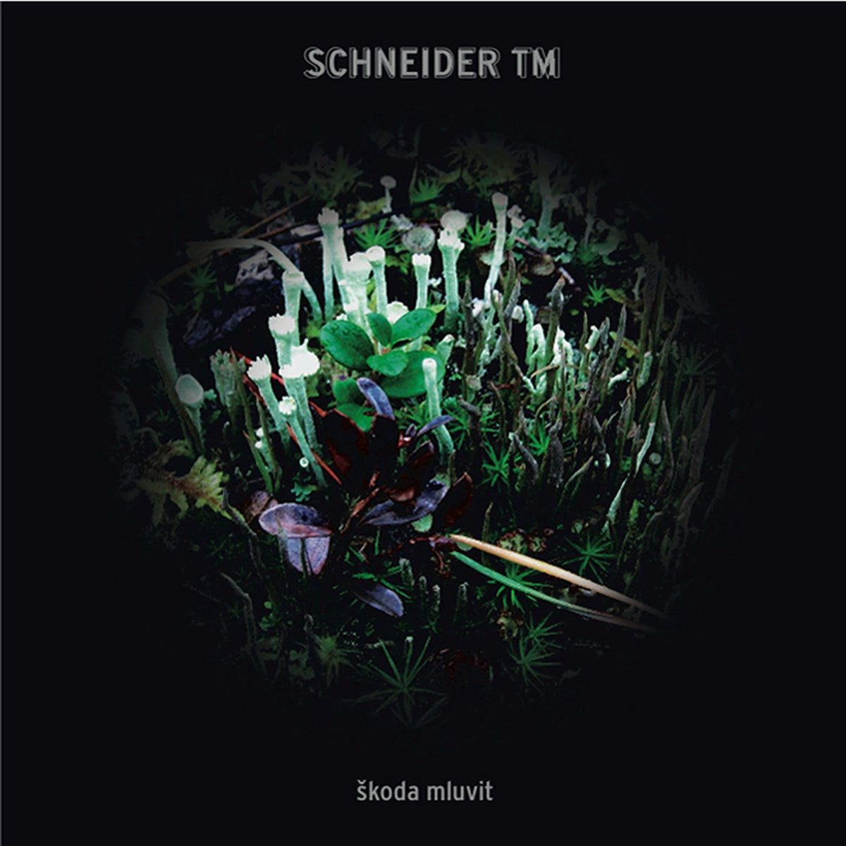Schneider Tm – Skoda Mluvit vinyl record cover