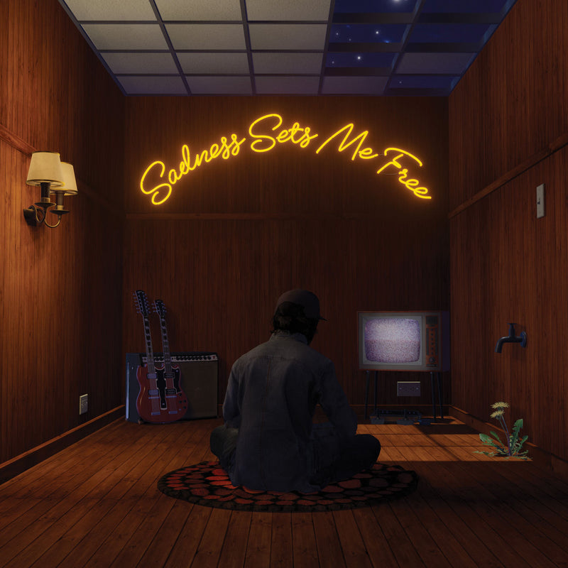 Gruff Rhys – Sadness Sets Me Free (Blackberry Neo-Neapolitan Vinyl) (Indies) vinyl record cover