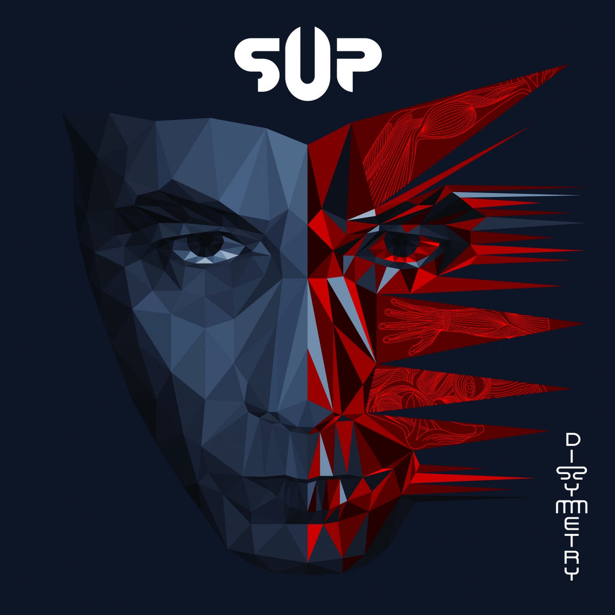 SUP – Dissymmetry vinyl record cover