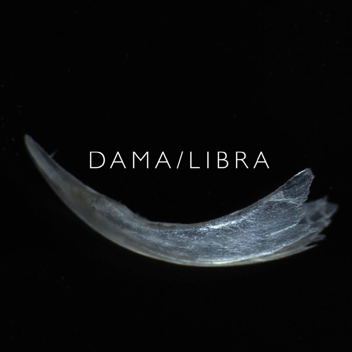 DAMA/LIBRA – Claw vinyl cover