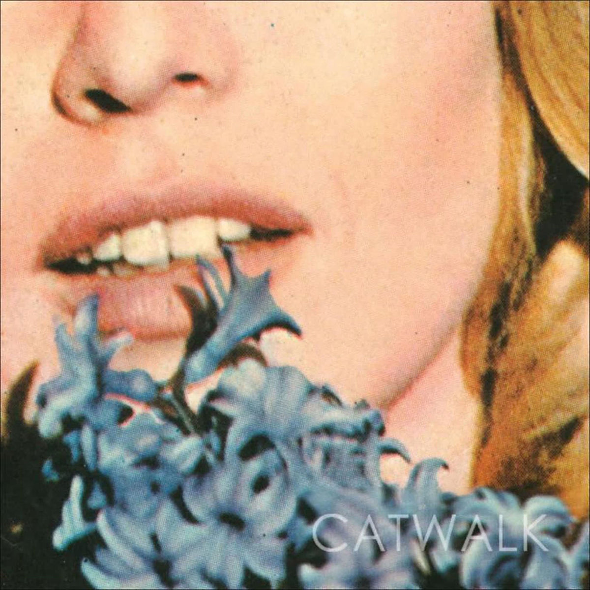 Catwalk – (Please) Don't Break Me vinyl cover