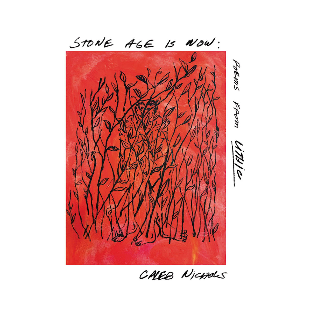 Caleb Nichols – Stone Age Is Now: Poems from Lithic vinyl cover