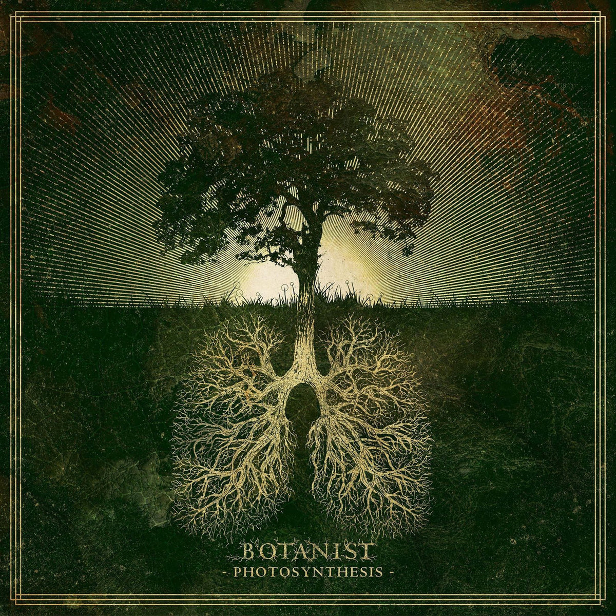 Botanist – Photosynthesis vinyl record cover
