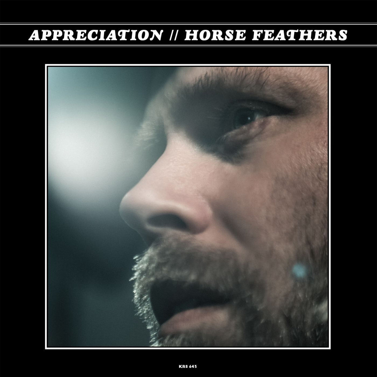 Horse Feathers – Appreciation — album cover