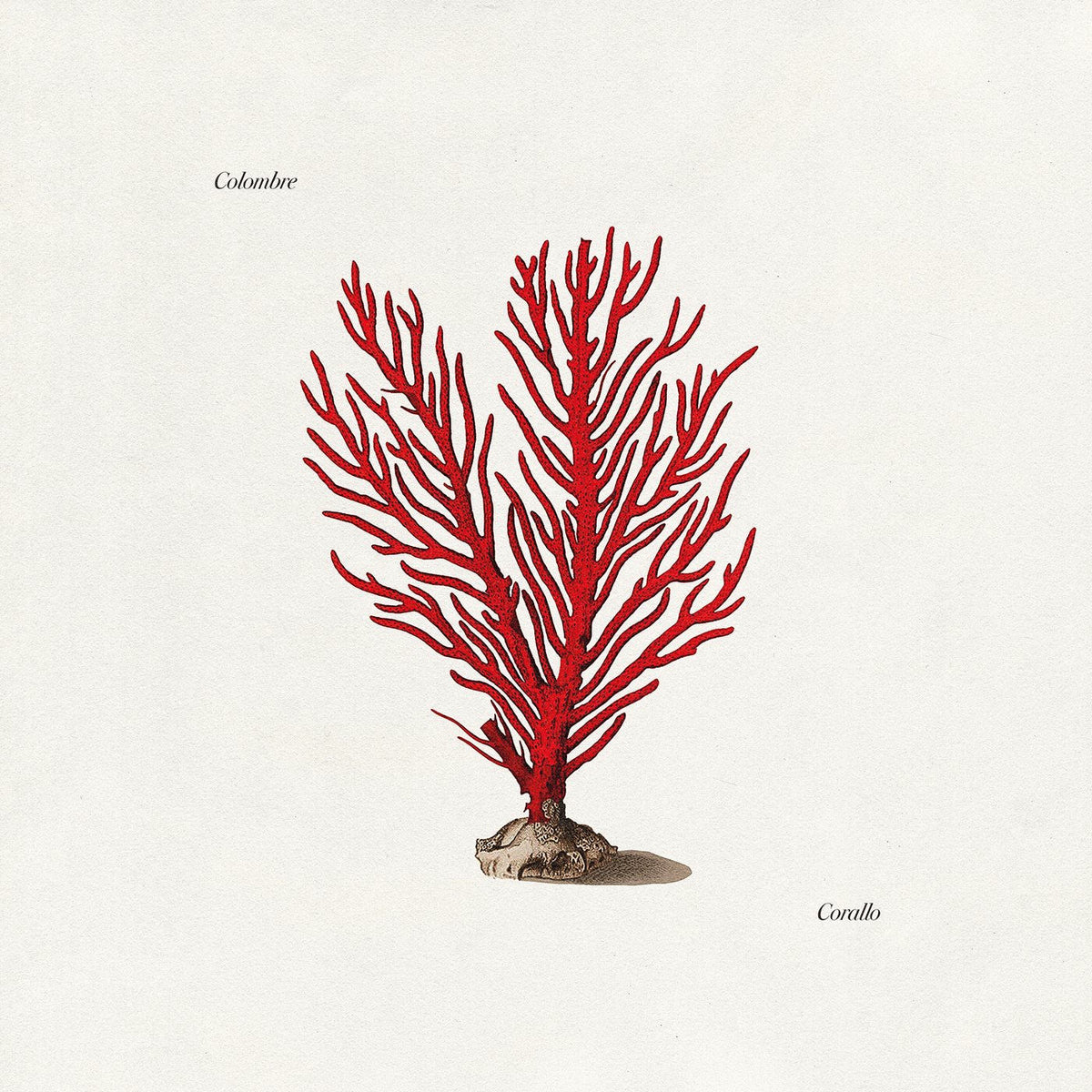 Colombre – Corallo vinyl record cover