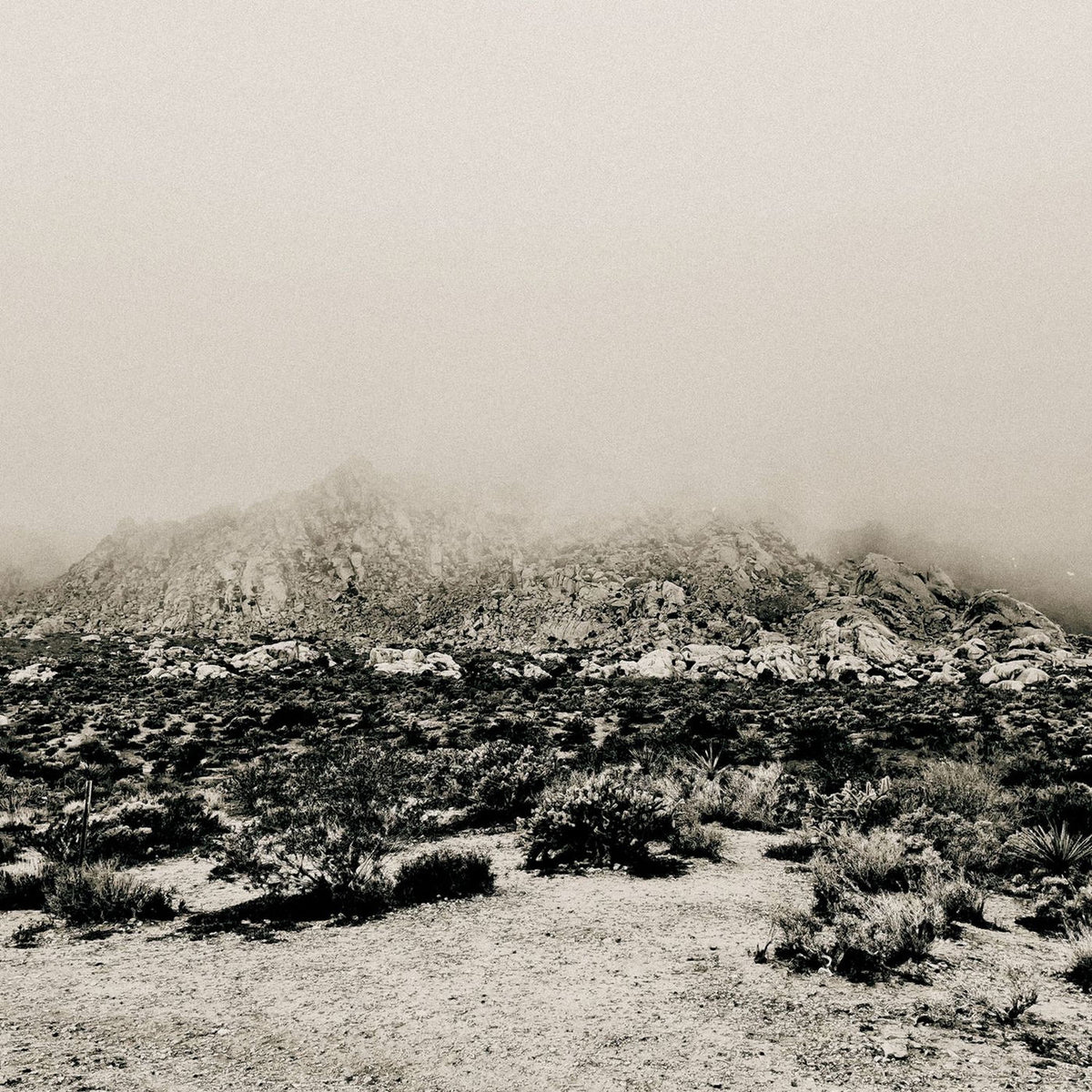 Mizmor – Mnemonic: Ambient Mosaic vinyl cover