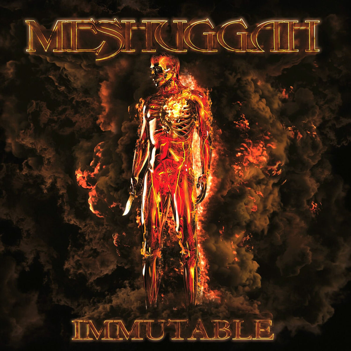 Meshuggah – Immutable vinyl cover
