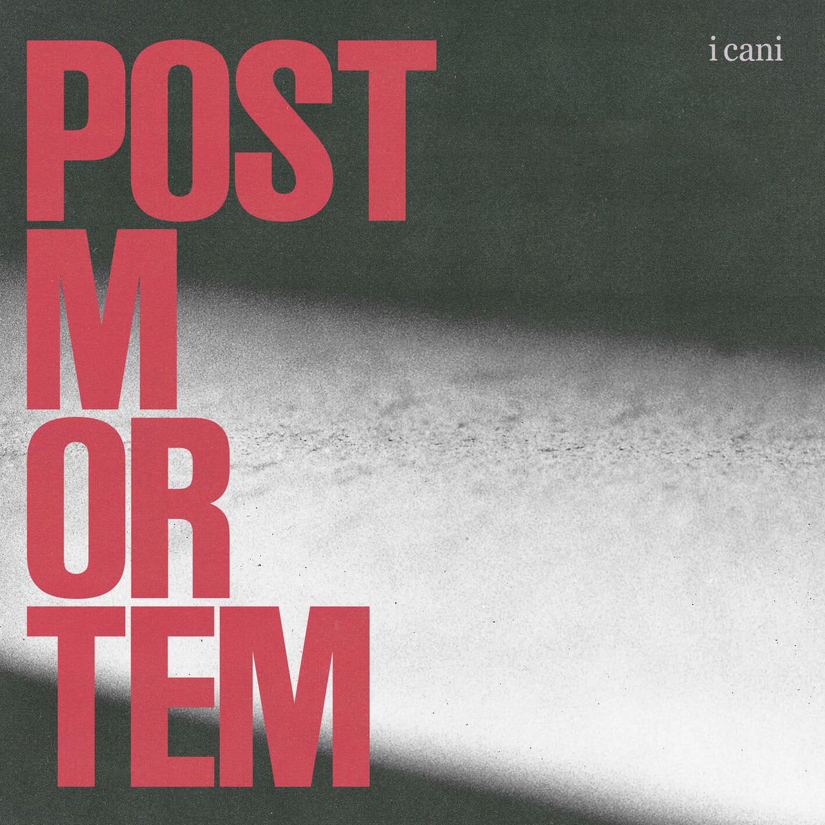 I Cani – Post Mortem vinyl record cover