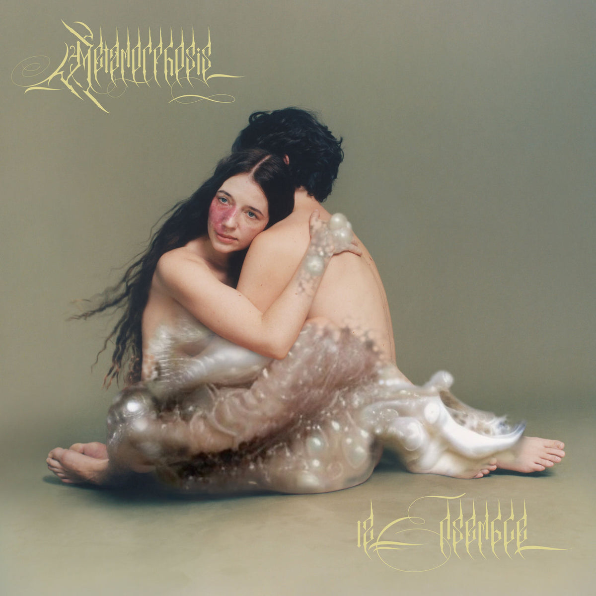 12 Ensemble – Metamorphosis vinyl record cover