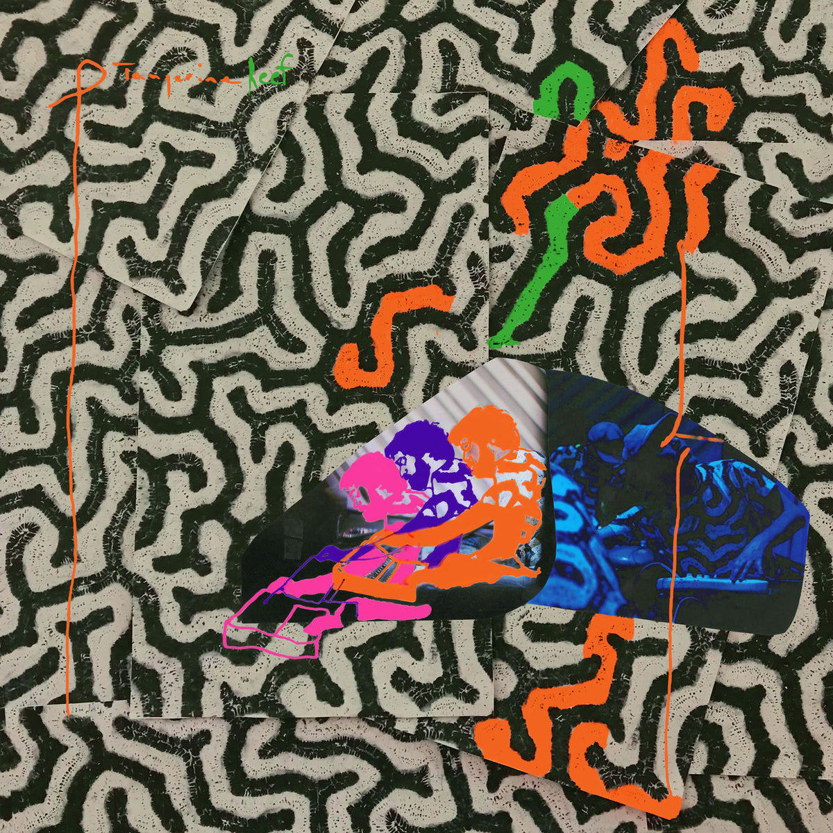 Animal Collective – Tangerine Reef vinyl record cover