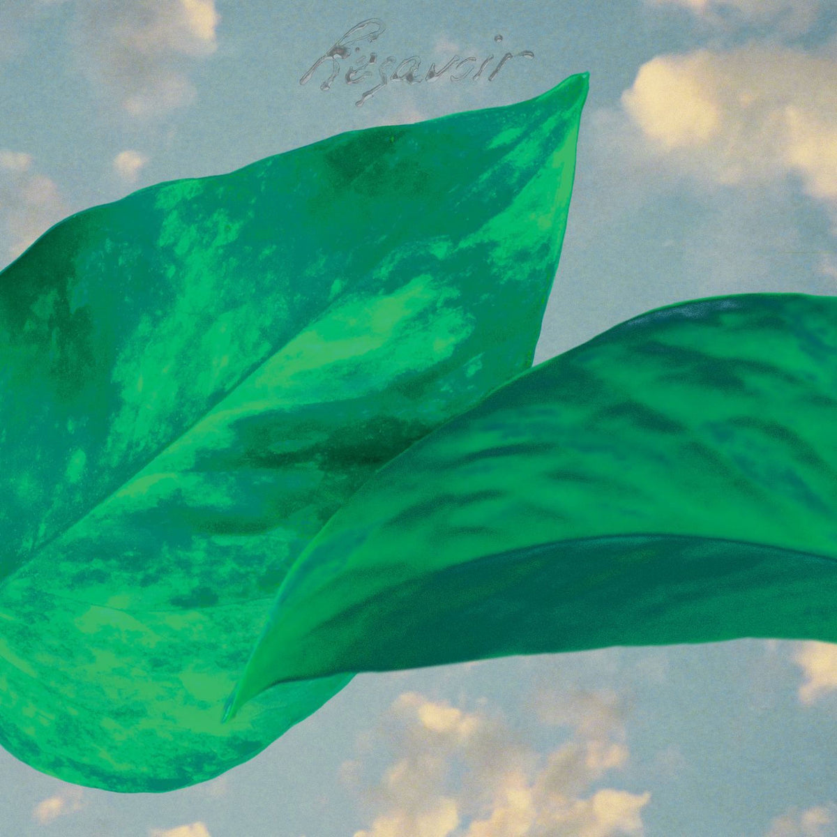 Resavoir – Resavoir vinyl record cover