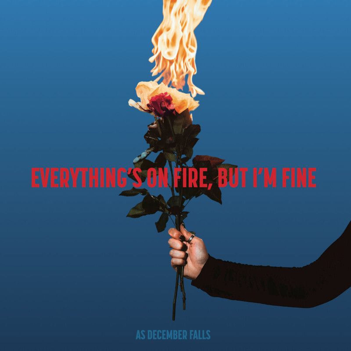 As December Falls – Everything's On Fire But I'm Fine vinyl record cover