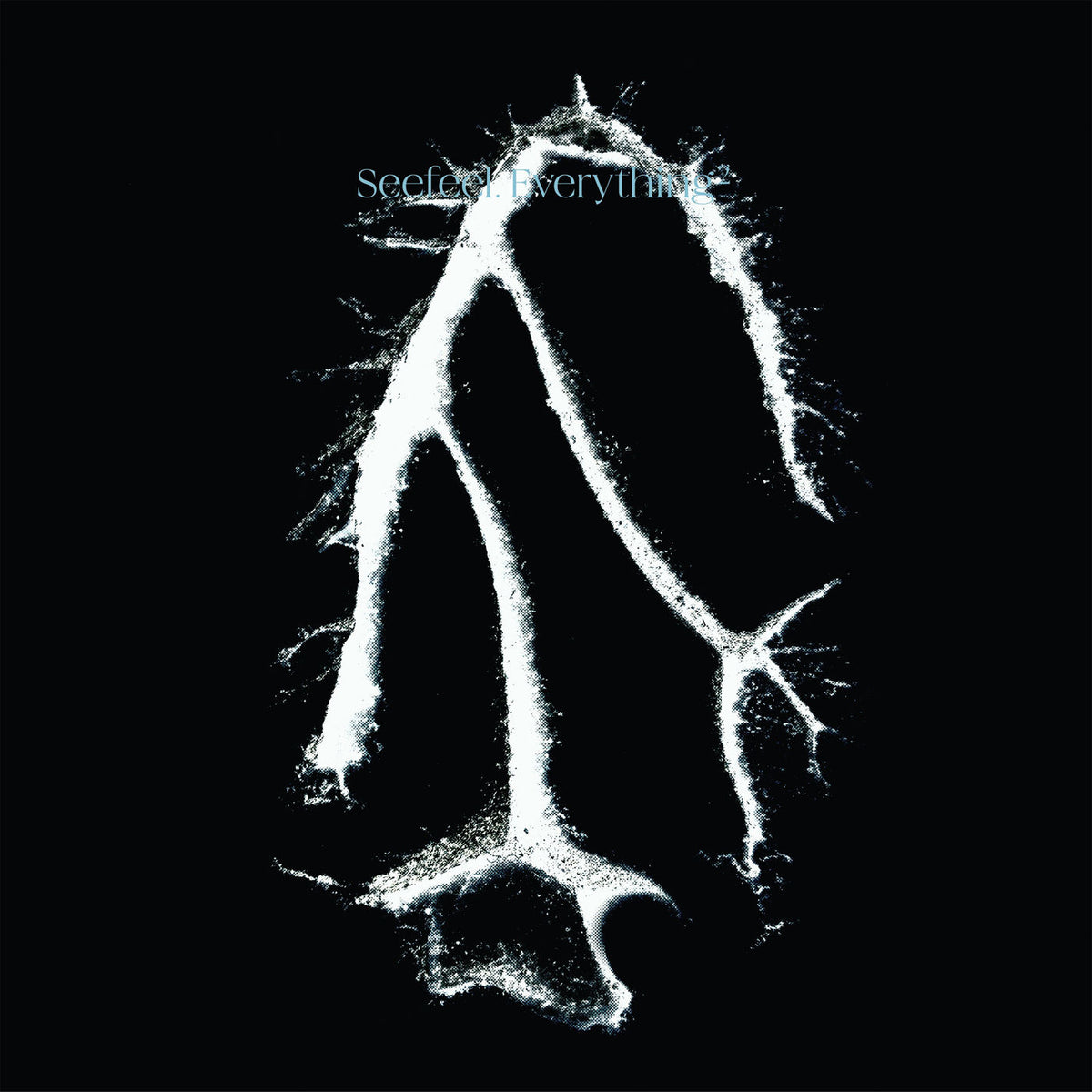 Seefeel – Everything Squared — album cover