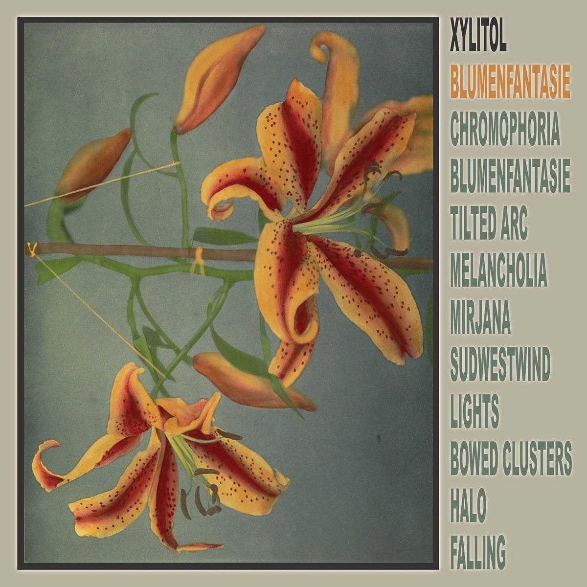 Xylitol – Blumenfantasie vinyl record cover