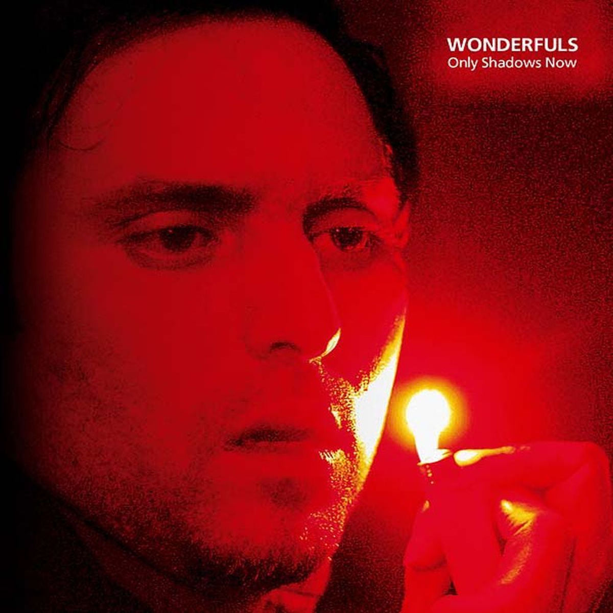 Wonderfuls – Only Shadows Now vinyl record cover