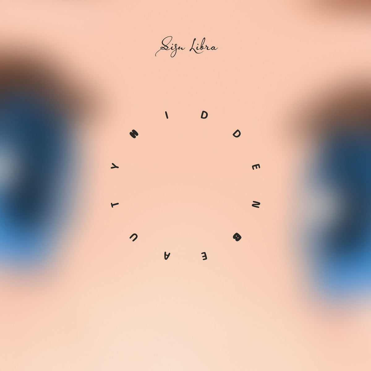 Sign Libra – Hidden Beauty vinyl record cover