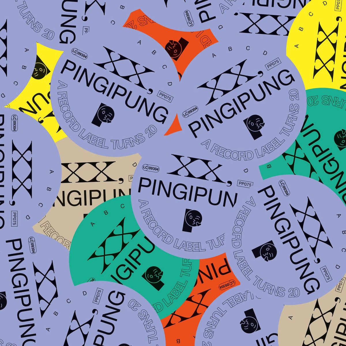 Various Artists – Xx, Pingipung: A Record Label Turns 20 [2X10IN] (GATEFOLD) vinyl record cover